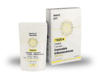 תפרחת ווייט לילי - T22/C4 - White Lily
