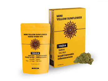 תפרחת ילו סאנפלאוור מיני  - T22/C4 - Yellow Sunflower Mini