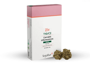 תפרחת זיו - T10/C2 - Ziv