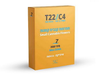 תפרחת זומה מיני - T22/C4 - Zuma Mini