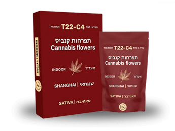 תפרחת שנגחאי - T22/C4 - Shanghai