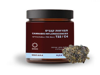 תפרחת סולו א.ק.א - T22/C4 - SOLO A.K.A