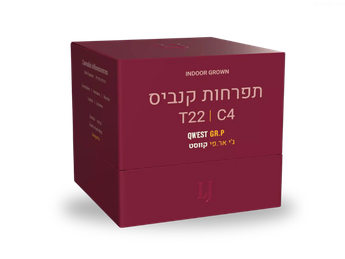 תפרחת ג'י אר.פי קווסט - T22/C4 - Qwest GR.P