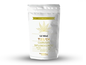 תפרחת ג'י.איי מיני - T22/C4 - GI Mini