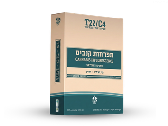תפרחת פי.דבליו - T22/C4 - P.W