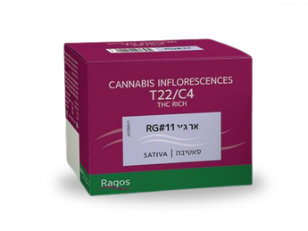 תפרחת אר ג'י 11 - T22/C4 - RG 11