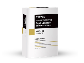 תפרחת אריאל מיני - T22/C4 - ARIEL MINI
