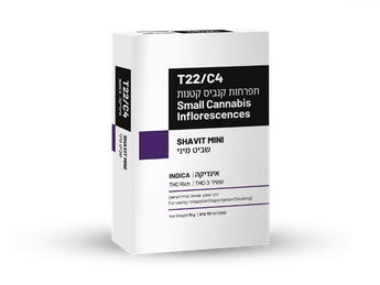 תפרחת שביט מיני - T22/C4 - SHAVIT MINI