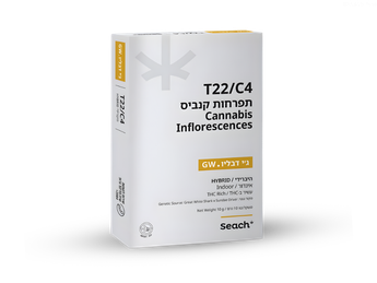 תפרחת ג'י דאבליו - T22/C4 - GW