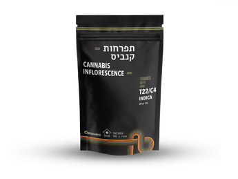 תפרחת טיימס - T22/C4 - Thames