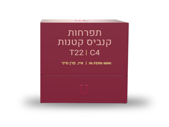 תפרחת אינ. פרן מיני - T22/C4 - In.Fern Mini