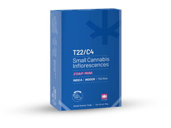 תפרחת זופ מיני - T22/C4 - Zoap Mini