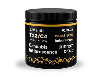 תפרחת אל.מנטי - T22/C4 - L.Mantti