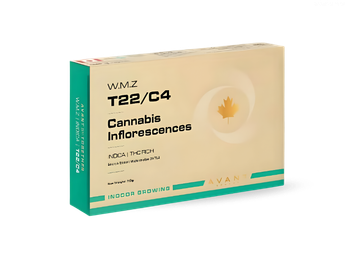 תפרחת דאבליו.אם.זי - T22/C4 - W.M.Z