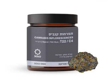 תפרחת סולו אוניקס - T22/C4 - Solo Onix
