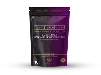 תפרחת דארק שאמפה - T22/C4 - Dark Champa
