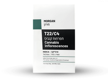 תפרחת מורגן - T22/C4 - Morgan