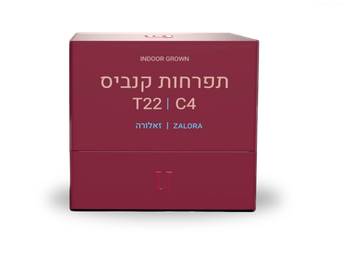 תפרחת זלורה - T22/C4 - Zalora