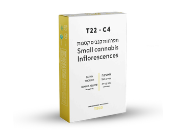 תפרחת קו.יילו מינ י - T22/C4 - TECO Mini Co.Yellow
