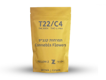 תפרחת יילו זד - T22/C4 - YELLOW Z