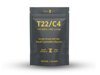 תפרחת סמול יילו זד - T22/C4 - SMALL YELLOW Z