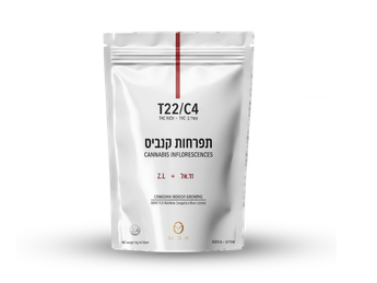 תפרחת זד.אל - T22/C4 - Z.L