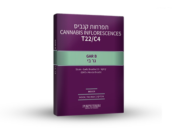 תפרחת גאר בי - T22/C4 - Gar B