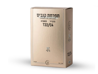 תפרחת בי קיי - T22/C4 - BK