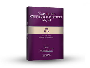תפרחת אי 85 - T22/C4 - E85