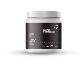 תפרחת נגרו - T22/C4 - Negro