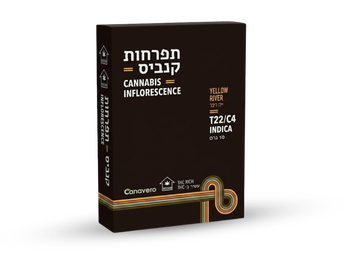תפרחת ילו ריבר - T22/C4 - Yellow River