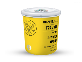 תפרחת בי.יו.סי וי.נום  - T22/C4 - B.U.C V.Nom