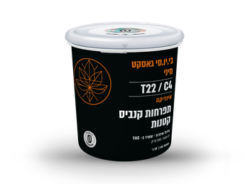 תפרחת בי.יו.סי וי.נום מיני  - T22/C4 - B.U.C V.Nom Mini