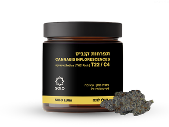 תפרחת סולו לונה - T22/C4 - SOLO LUNA