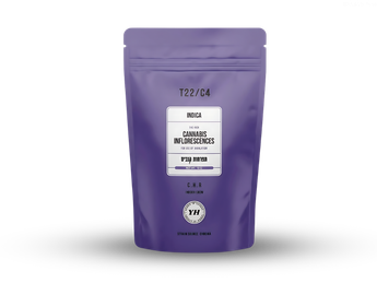 תפרחת סי.אייץ'.אר - T22/C4 - C.H.R