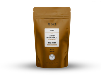 תפרחת בי.אם.טי - T22/C4 - B.M.T