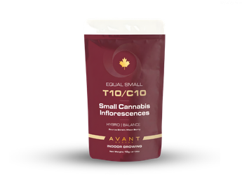 תפרחת איקוול סמול - T10/C10 - Equal Small
