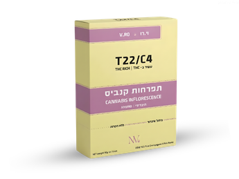 תפרחת וי.רו - T22/C4 - V.RO