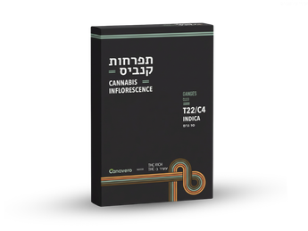 תפרחת גנגס - T22/C4 - GANGES