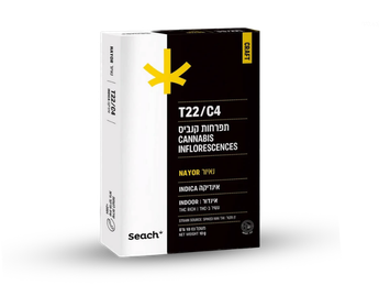 תפרחת נאיור - T22/C4 - Nayor