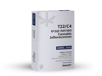 תפרחת מיינל - T22/C4 - Minel