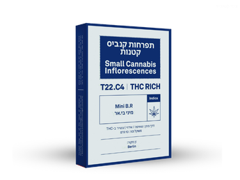 תפרחת בי אר מיני - T22/C4 - BR Mini
