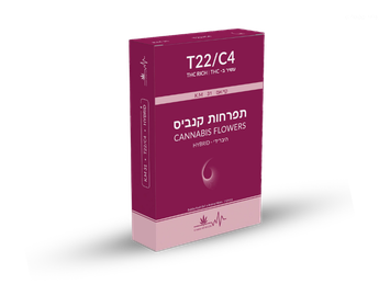 תפרחת קיי.אם 31 - T22/C4 - K.M 31