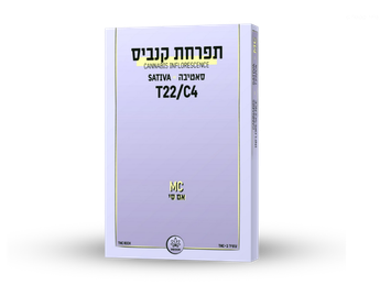תפרחת אם סי - T22/C4 - MC
