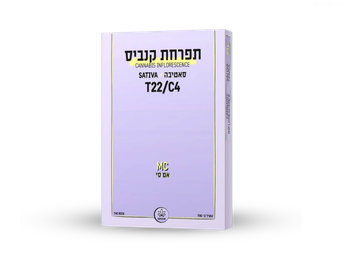 תפרחת אם סי - T22/C4 - MC