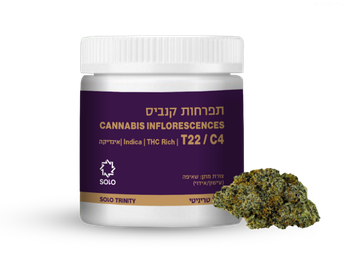 תפרחת סולו טריניטי - T22/C4 - SOLO TRINITY