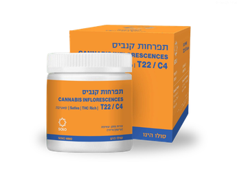 תפרחת סולו הינו  - T22/C4 - Solo Hino