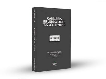 תפרחת קליפורניה אוג'י - T22/C4 - California OG