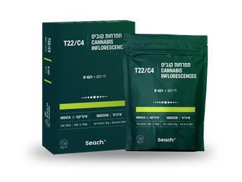 תפרחת די-621 - T22/C4 - D-621