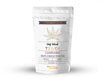 תפרחת או קיו מיני - T22/C4 - OQ Mini